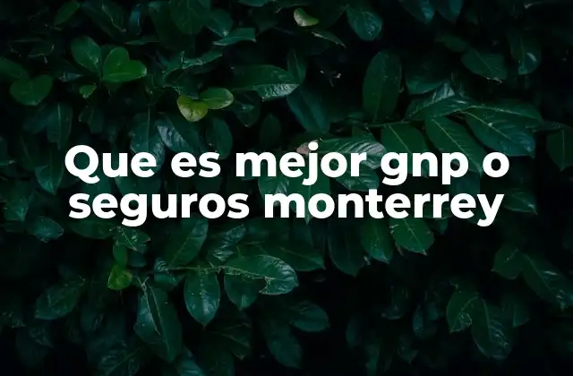 Que es Mejor Gnp o Seguros Monterrey