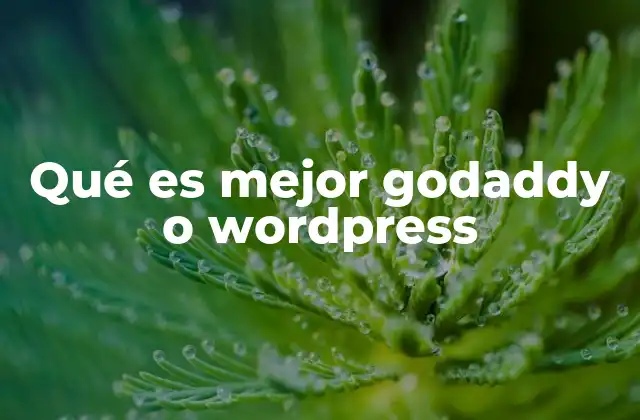 Qué es Mejor Godaddy o WordPress