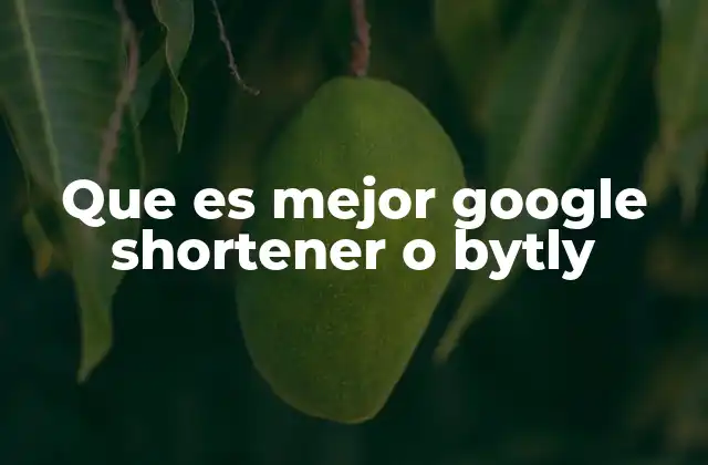 Que es Mejor Google Shortener o Bytly