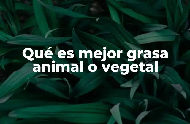 Qué es Mejor Grasa Animal o Vegetal