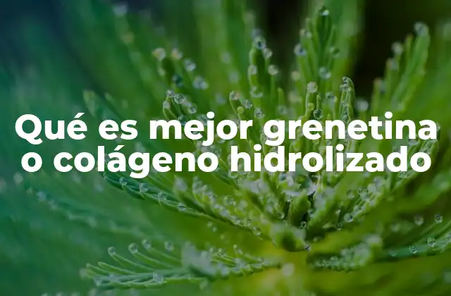 Qué es Mejor Grenetina o Colágeno Hidrolizado