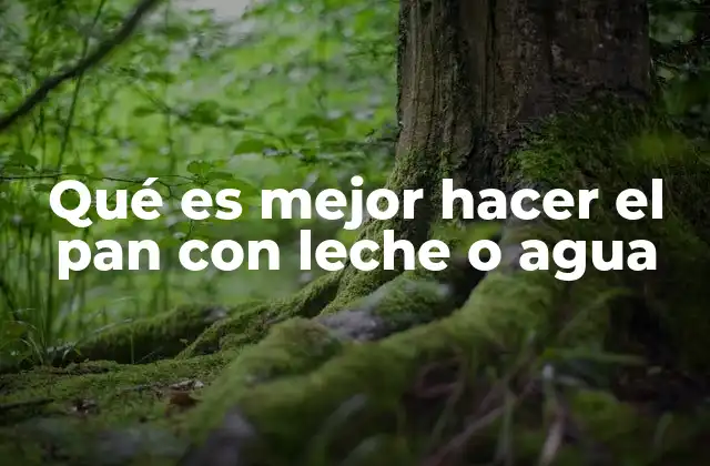 Qué es Mejor Hacer el Pan con Leche o Agua