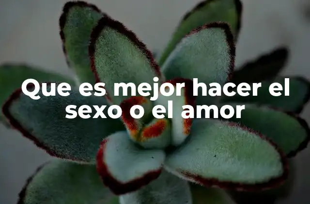 Que es Mejor Hacer el Sexo o el Amor