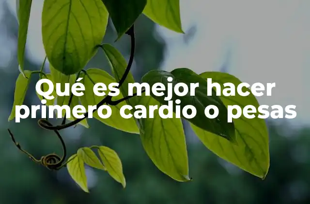 Qué es Mejor Hacer Primero Cardio o Pesas