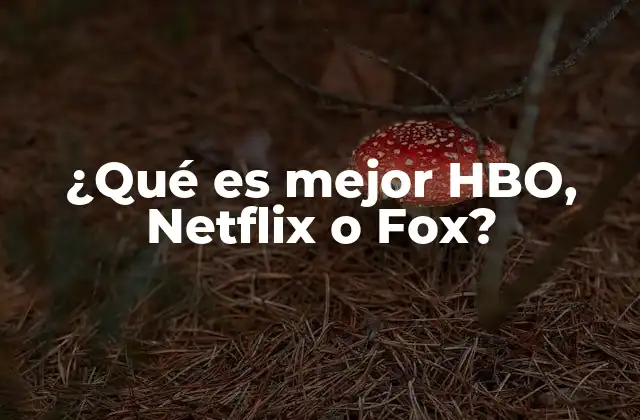 ¿qué es Mejor Hbo, Netflix o Fox?