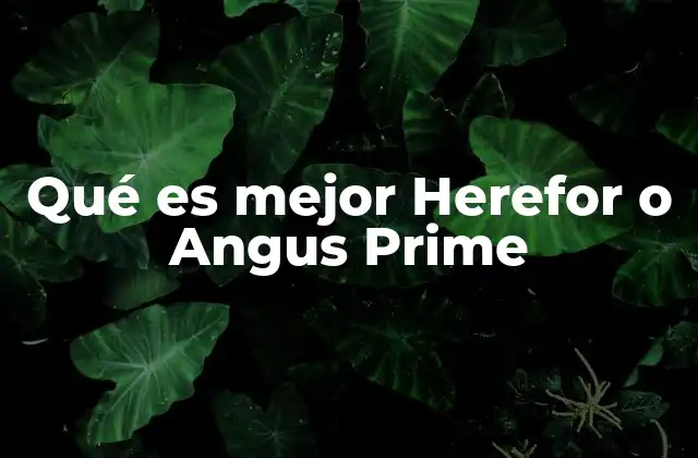Qué es Mejor Herefor o Angus Prime 2 Carne de calidad: diferencias entre las razas ganaderas