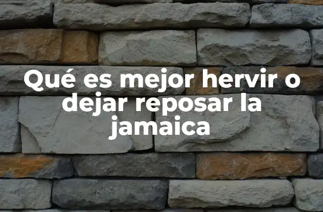 Qué es Mejor Hervir o Dejar Reposar la Jamaica