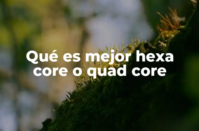 Qué es Mejor Hexa Core o Quad Core 2 Cómo afecta el número de núcleos al rendimiento general del procesador