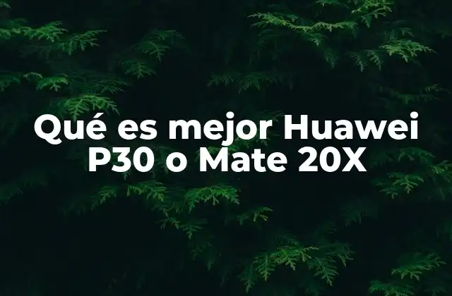Qué es Mejor Huawei P30 o Mate 20x