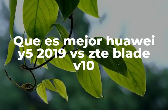 Que es Mejor Huawei Y5 2019 Vs Zte Blade V10