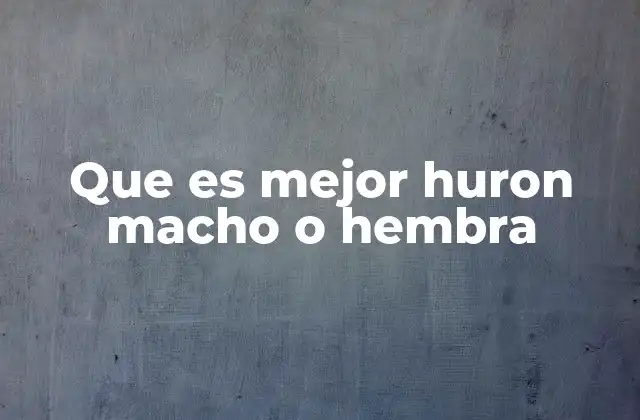 Que es Mejor Huron Macho o Hembra