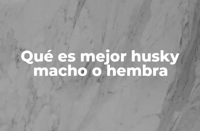 Qué es Mejor Husky Macho o Hembra