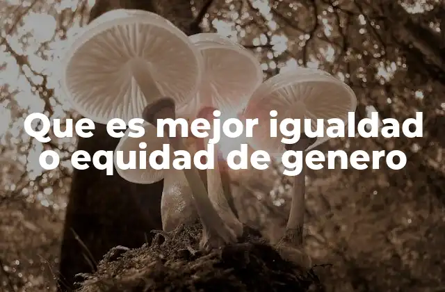 Diferencias entre dos enfoques clave en la lucha por el género