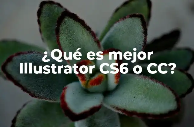 Diferencias clave entre Illustrator CS6 y CC