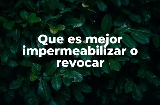 Que es Mejor Impermeabilizar o Revocar