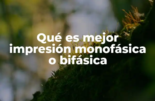 Qué es Mejor Impresión Monofásica o Bifásica