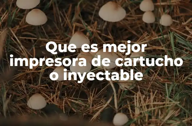 Que es Mejor Impresora de Cartucho o Inyectable