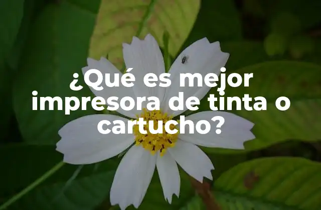 ¿qué es Mejor Impresora de Tinta o Cartucho?