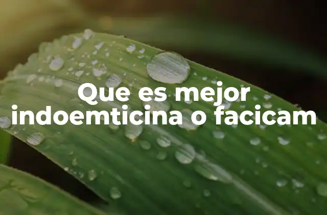 Que es Mejor Indoemticina o Facicam