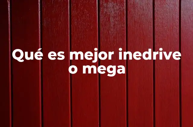 Qué es Mejor Inedrive o Mega