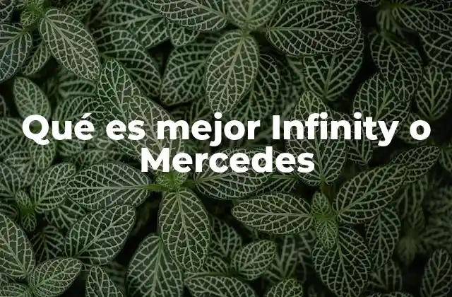 Qué es Mejor Infinity o Mercedes 2 Comparando prestaciones y experiencia de conducción