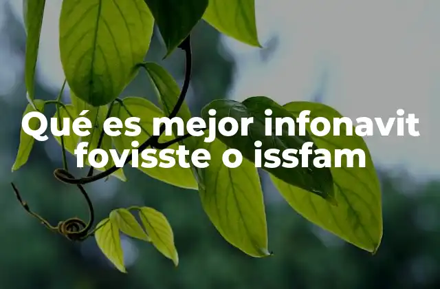 Qué es Mejor Infonavit Fovisste o Issfam