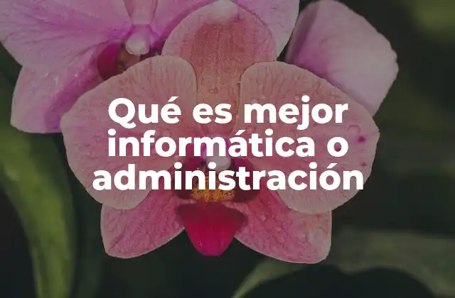 Qué es Mejor Informática o Administración