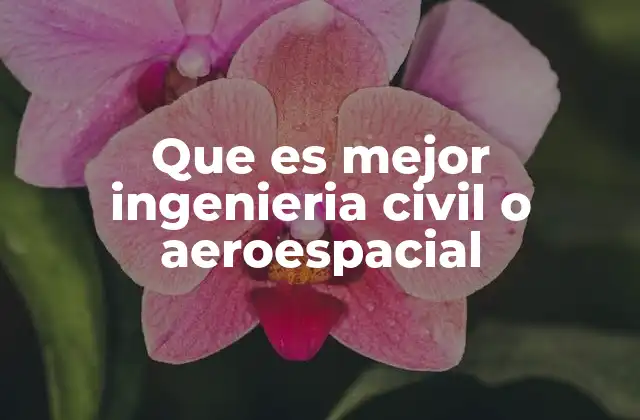 Que es Mejor Ingenieria Civil o Aeroespacial