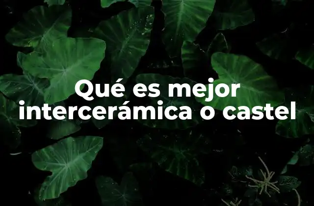 Qué es Mejor Intercerámica o Castel