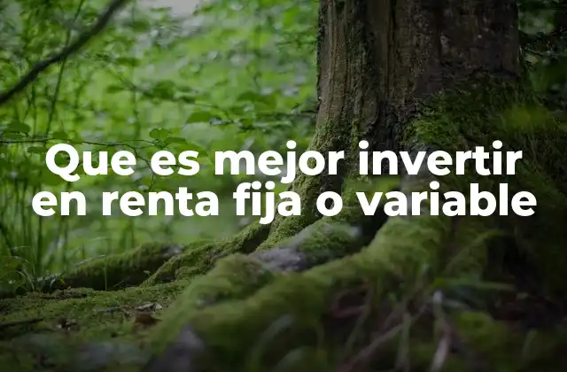 Que es Mejor Invertir en Renta Fija o Variable 2 Invertir en renta fija o variable: una elección que define tu estrategia financiera