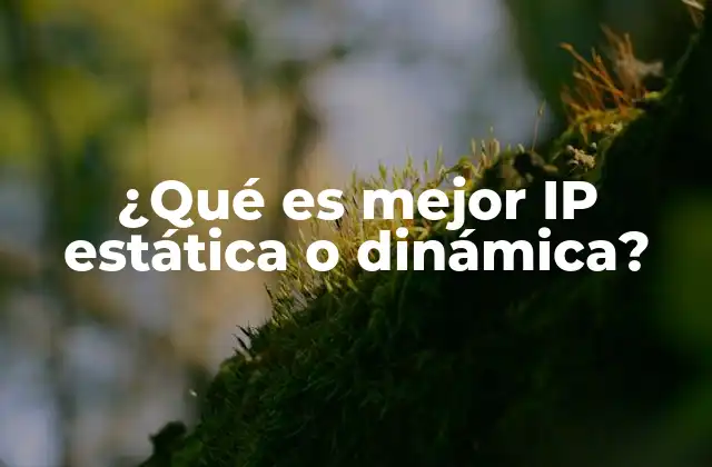 ¿qué es Mejor Ip Estática o Dinámica?