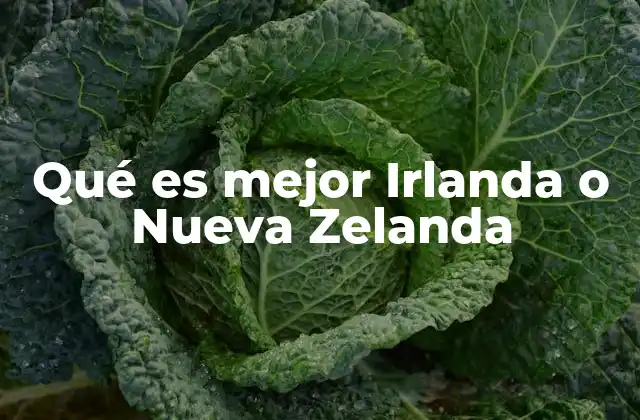Qué es Mejor Irlanda o Nueva Zelanda