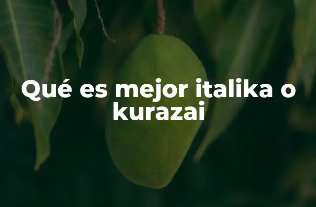 Qué es Mejor Italika o Kurazai