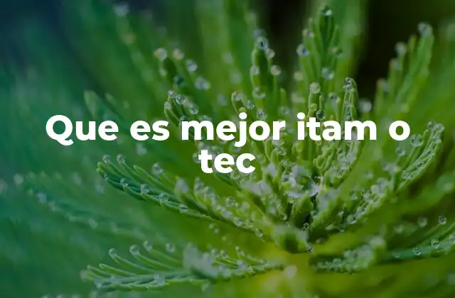Que es Mejor Itam o Tec