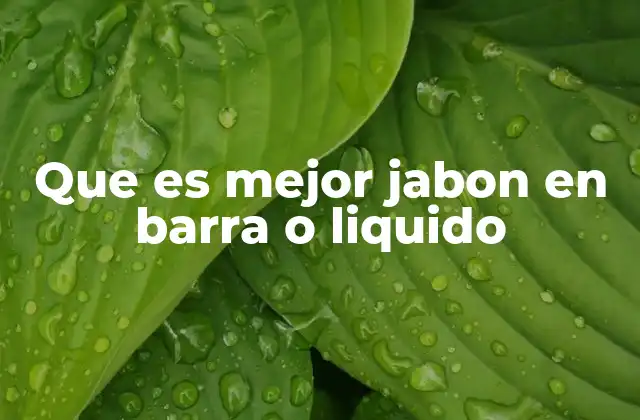 Que es Mejor Jabon en Barra o Liquido