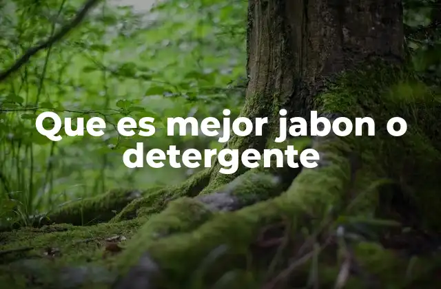 Que es Mejor Jabon o Detergente 2 Diferencias entre jabón y detergente para la limpieza doméstica