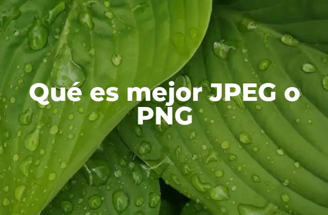 Qué es Mejor Jpeg o Png