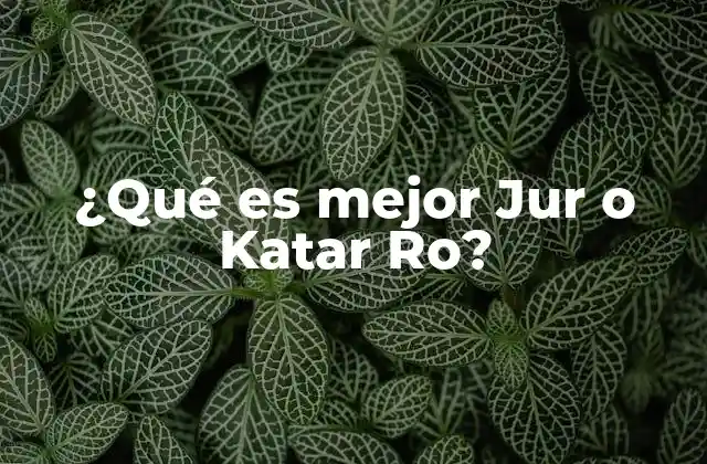 ¿qué es Mejor Jur o Katar Ro?