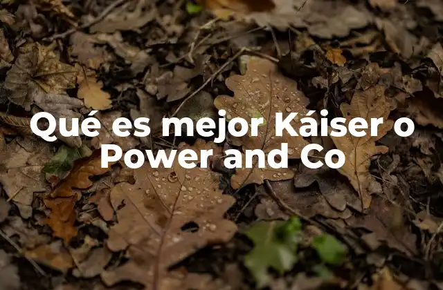 Qué es Mejor Káiser o Power And Co