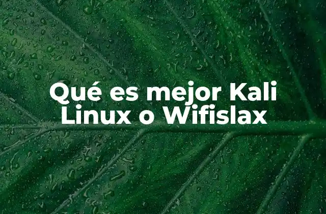 Kali Linux: El entorno más completo para ciberseguridad