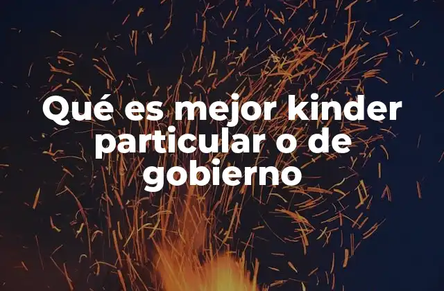 Qué es Mejor Kinder Particular o de Gobierno