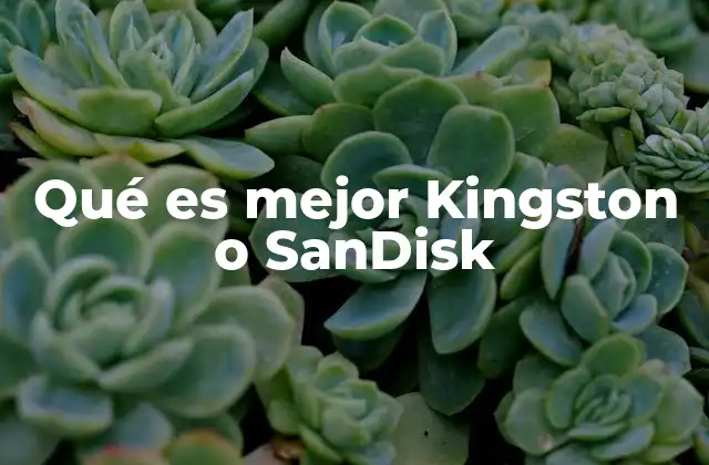 Qué es Mejor Kingston o Sandisk