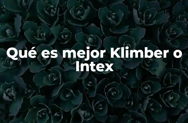 Comparativa entre Klimber y Intex sin mencionar directamente las marcas