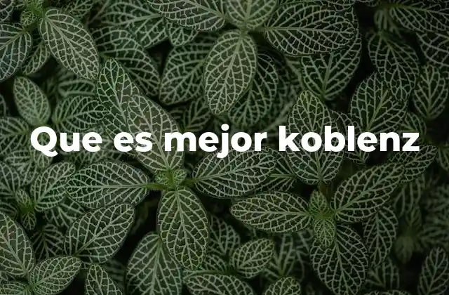 Que es Mejor Koblenz