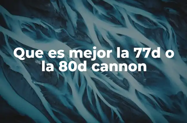 Que es Mejor la 77d o la 80d Cannon