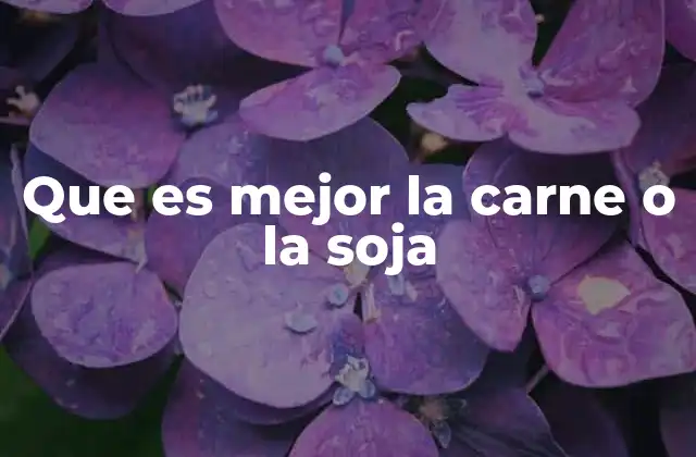 Que es Mejor la Carne o la Soja