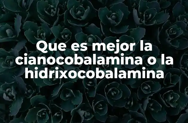 Comparativa de las formas de vitamina B12 sin mencionar directamente las dos formas