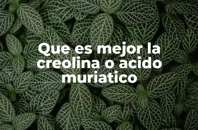 Que es Mejor la Creolina o Acido Muriatico