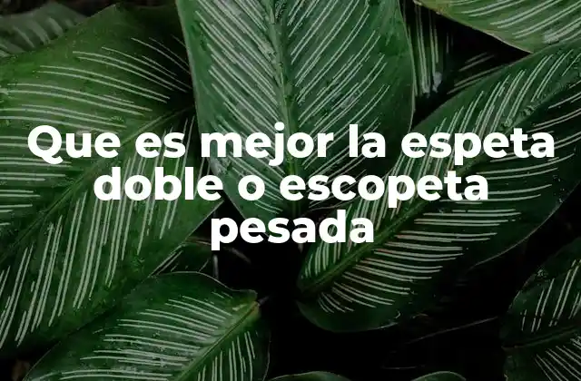 Que es Mejor la Espeta Doble o Escopeta Pesada