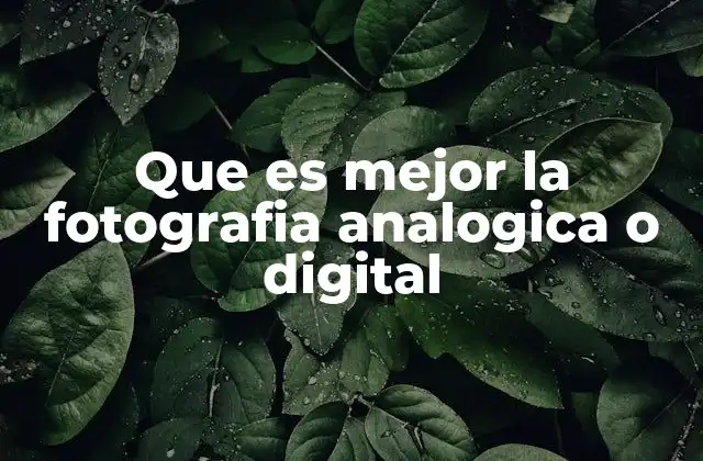 Que es Mejor la Fotografia Analogica o Digital 2 La evolución del arte fotográfico en dos direcciones